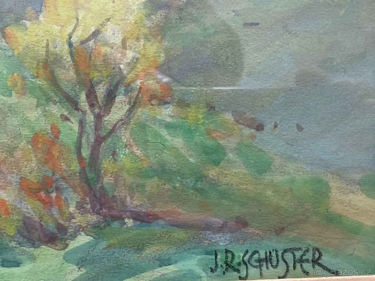 Jan Rafael Schuster - Budějovicko - Cesta k Mrhalu - 2