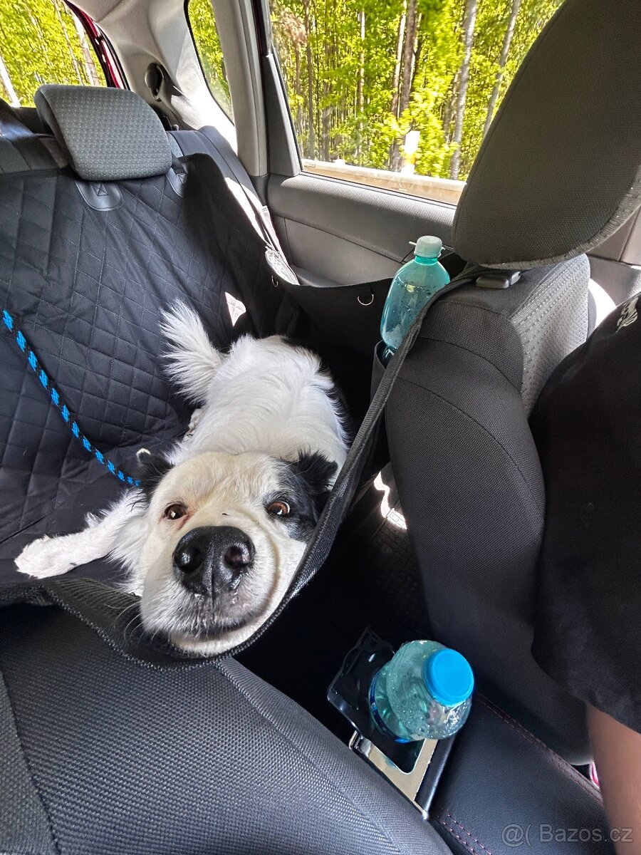 BOC s PP ke krytí - 2