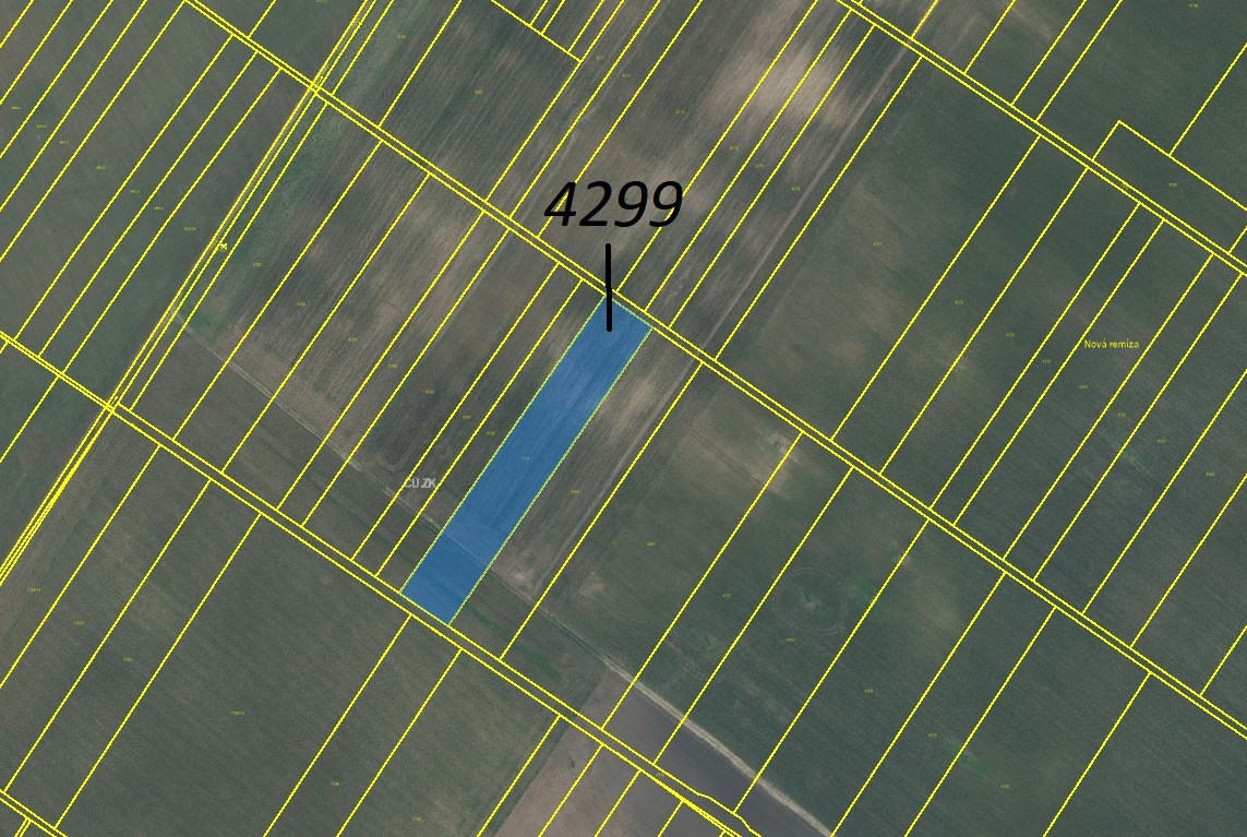 Pole v Moravském Žižkově - 2