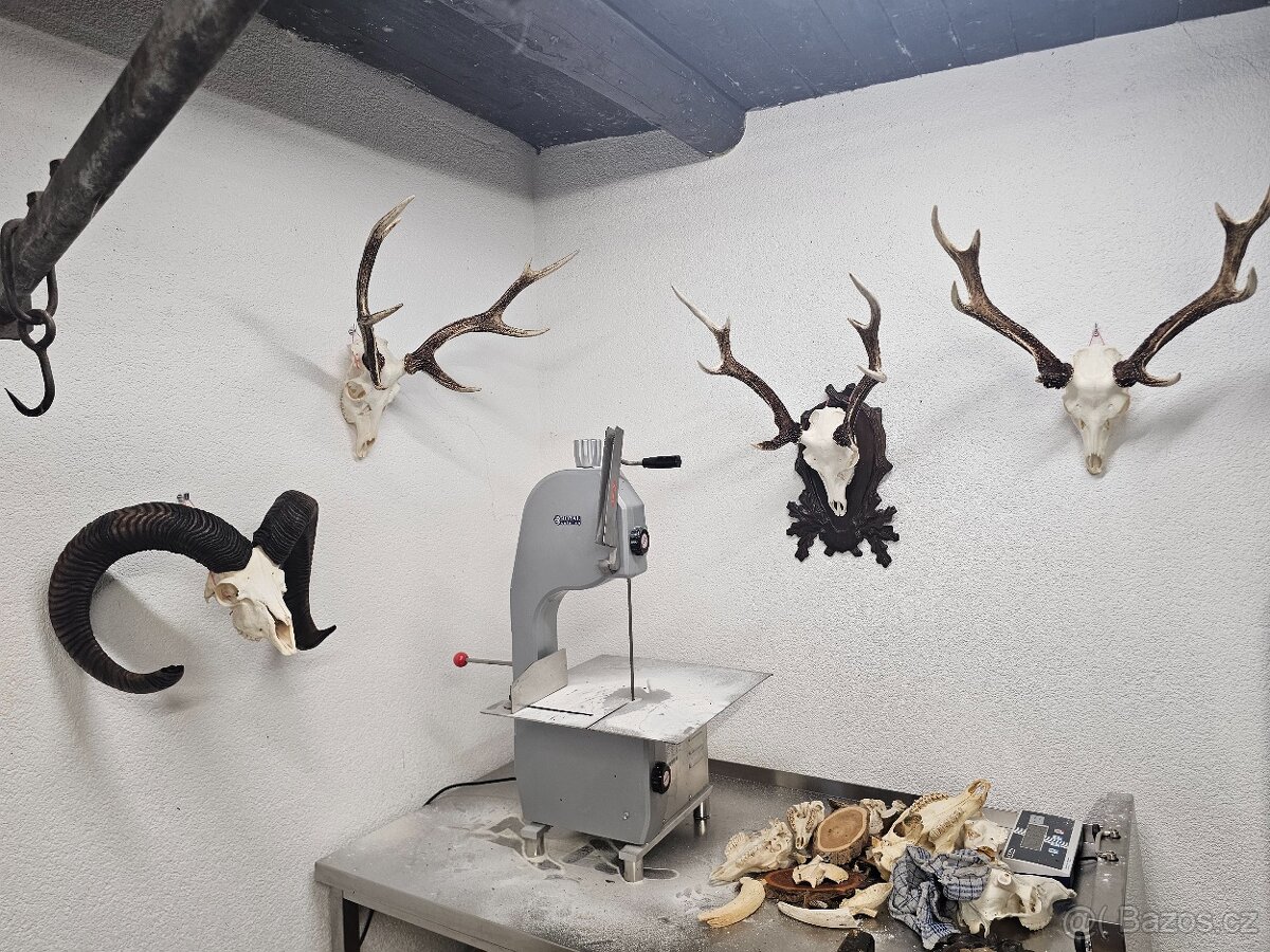 Paroží,trofeje,shozy - 2