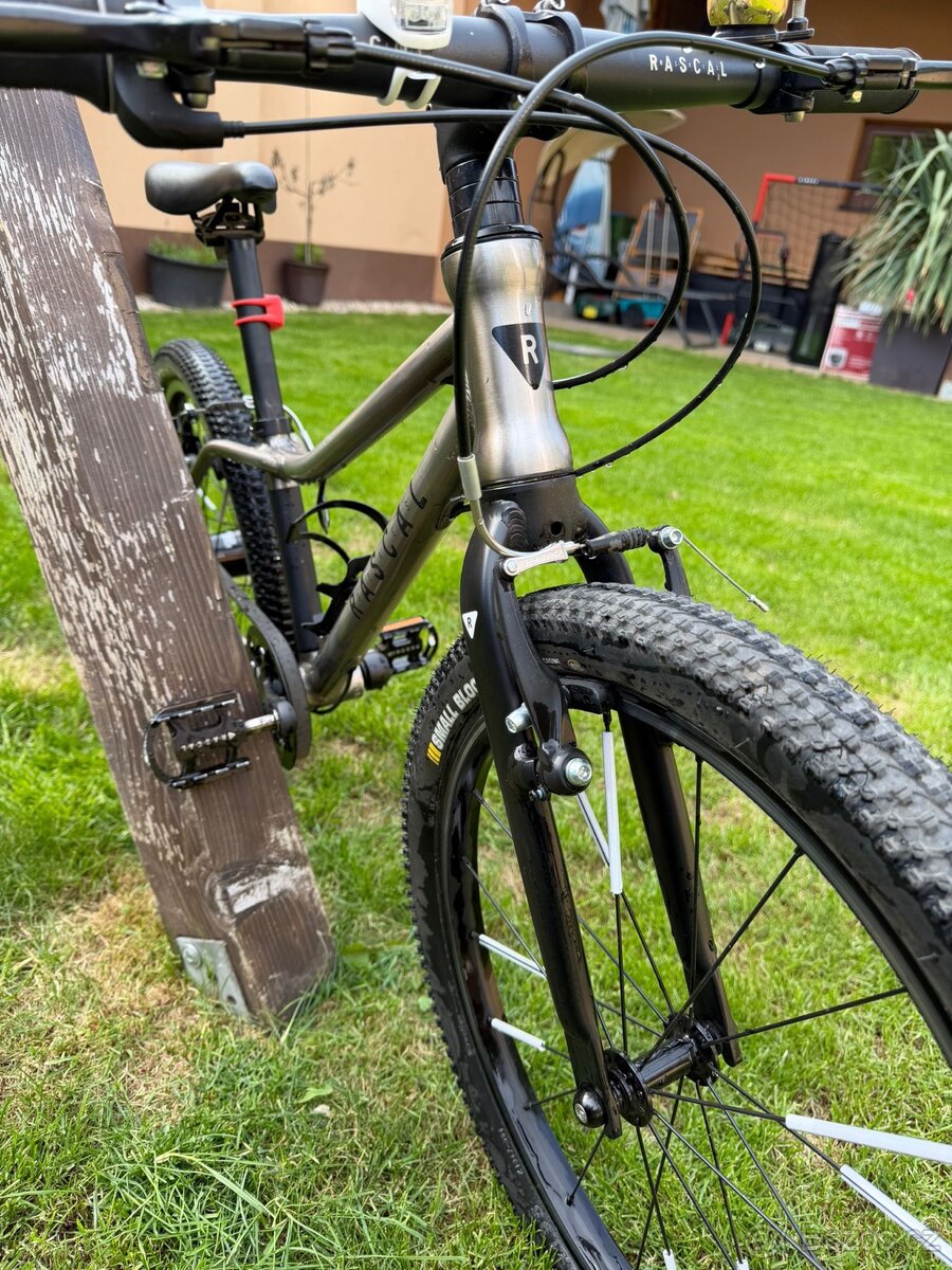 Dětské kolo RASCAL 20 - 2