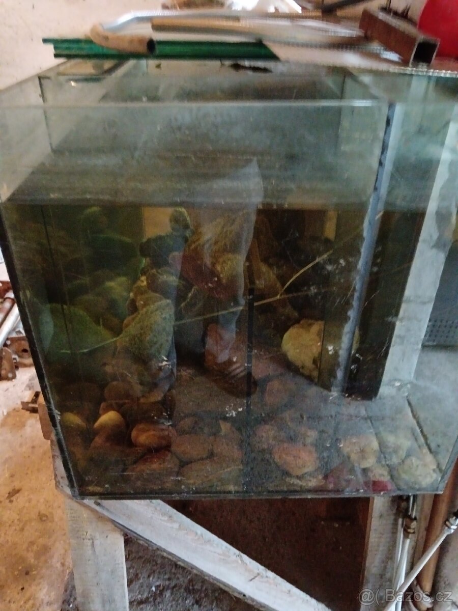 Prodám akvarium,terárium. - 2