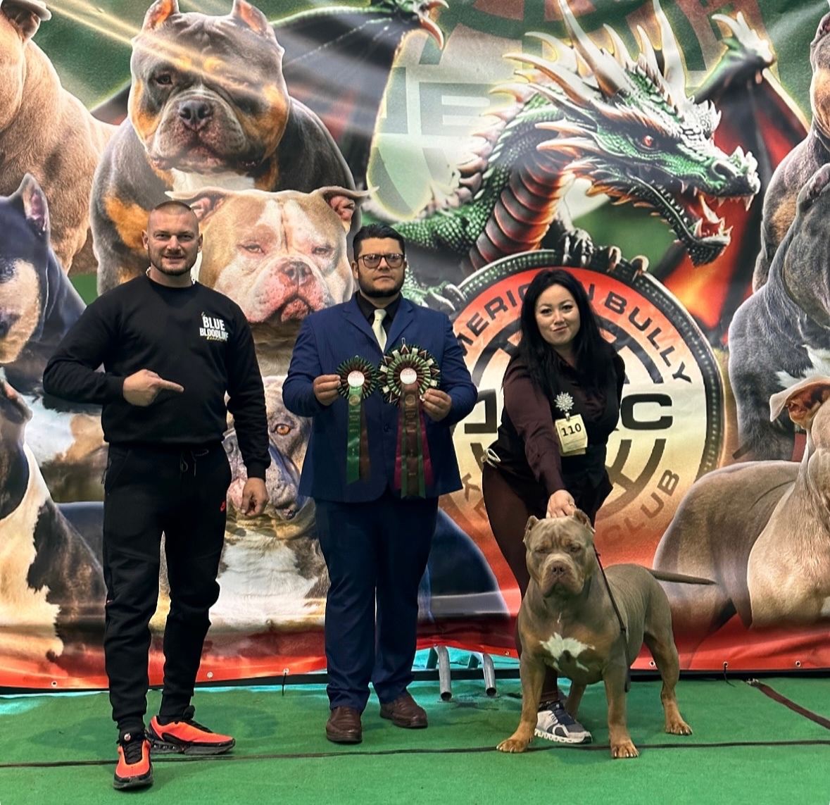 American bully XL, pitbull xxl - 2