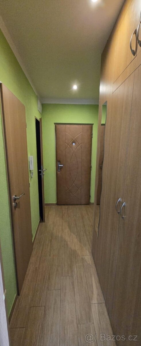 Pronajmu 1+1 na Košutce - 2