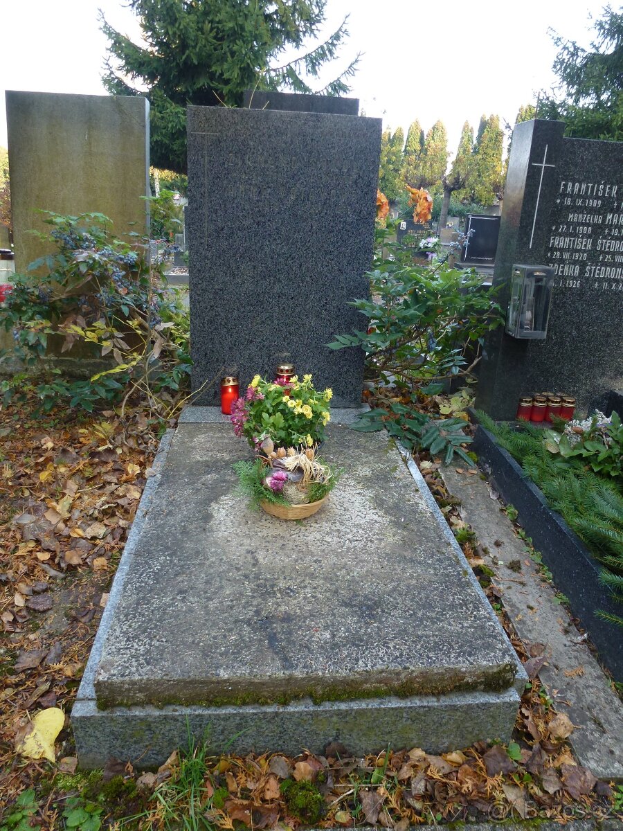 hrob na Olšanech - 2