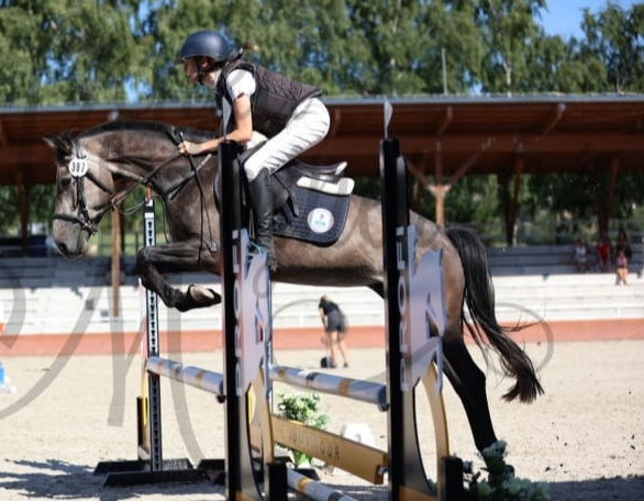 valášek pony B pro náročné - 2