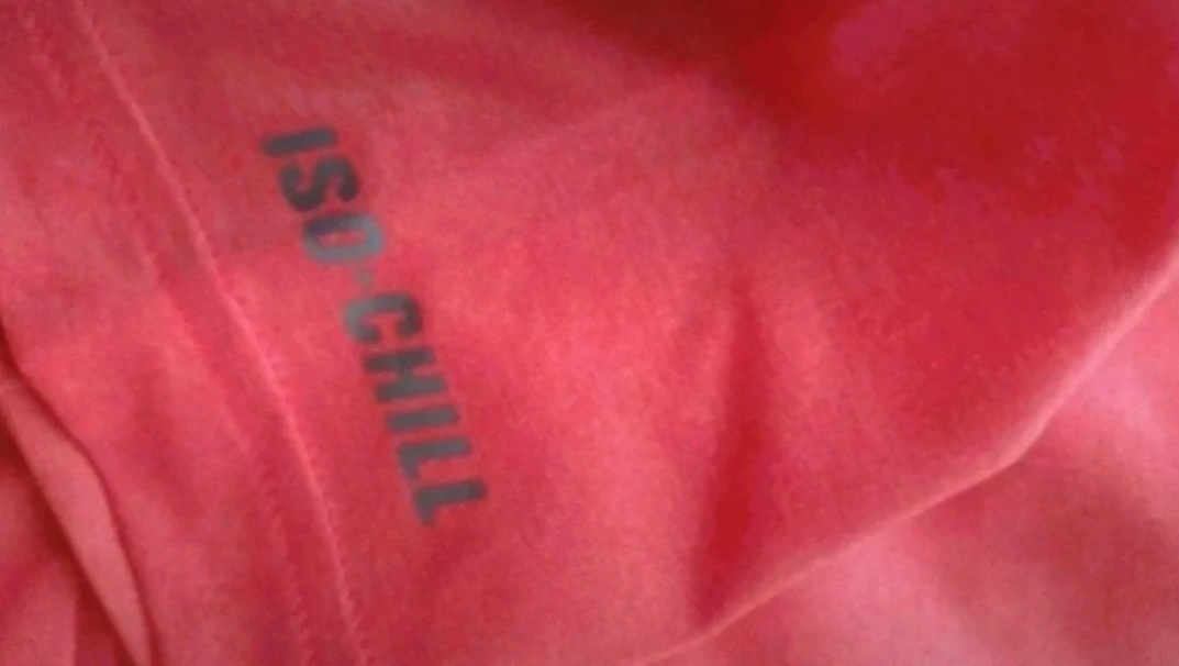 Sportovní triko Under Armour vel.L - 2