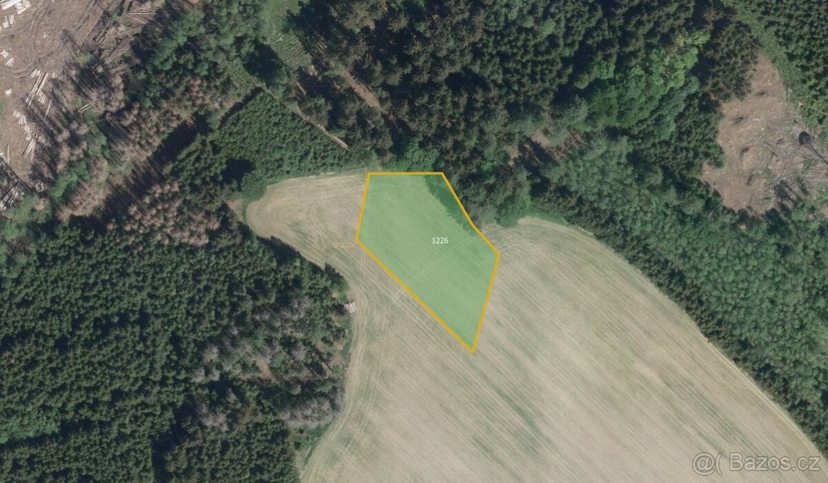 Zemědělská půda, prodej, Daměnice, Načeradec, Benešov - 2