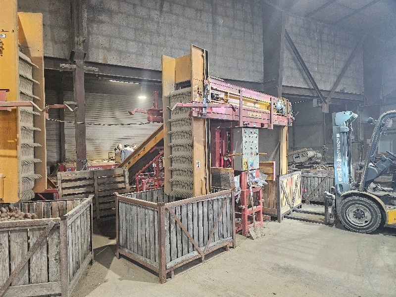 Bijlsma Hercules - 2