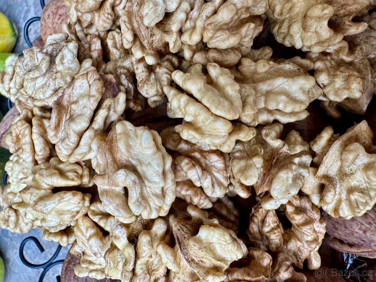 Vlašské ořechy - 2