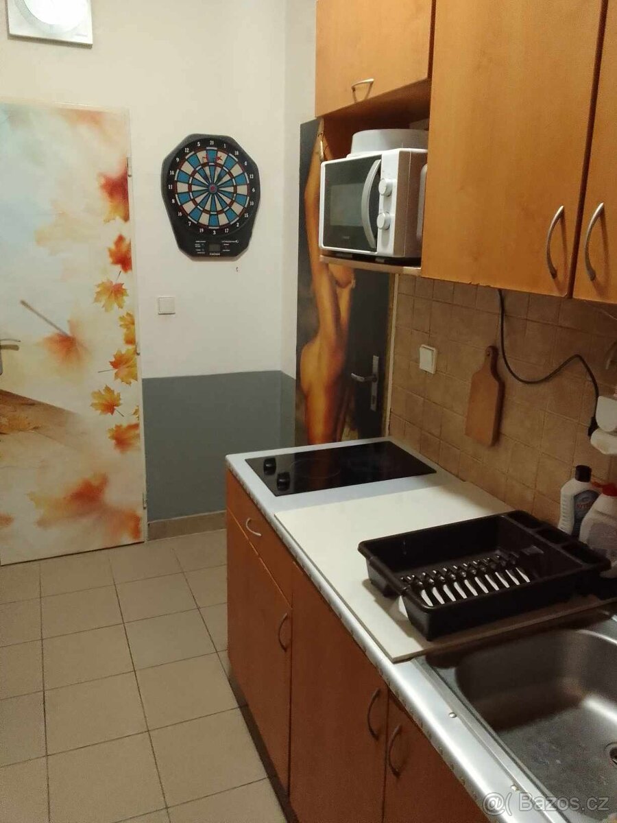 Pronájem lůžka, Rokytová - 2