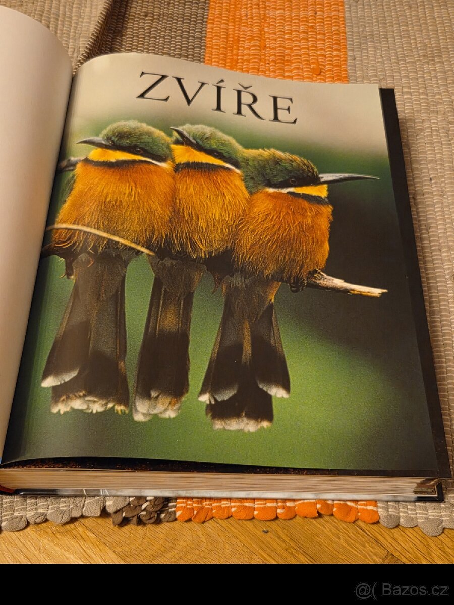 Obrazová encyklopedie ZVÍŘE - 2