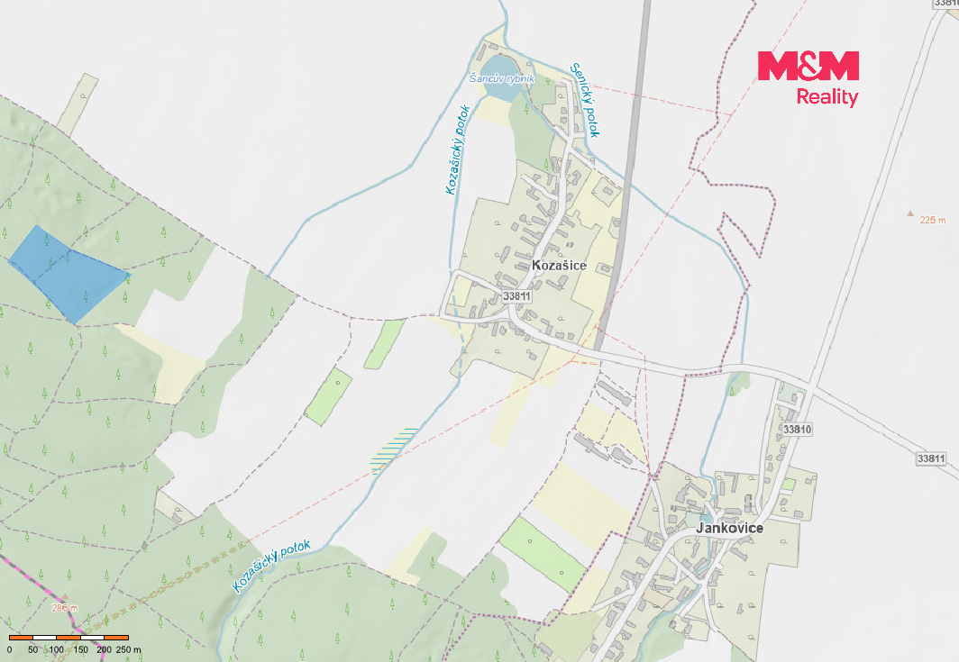 Prodej lesa, 24923 m², Jankovice - 2