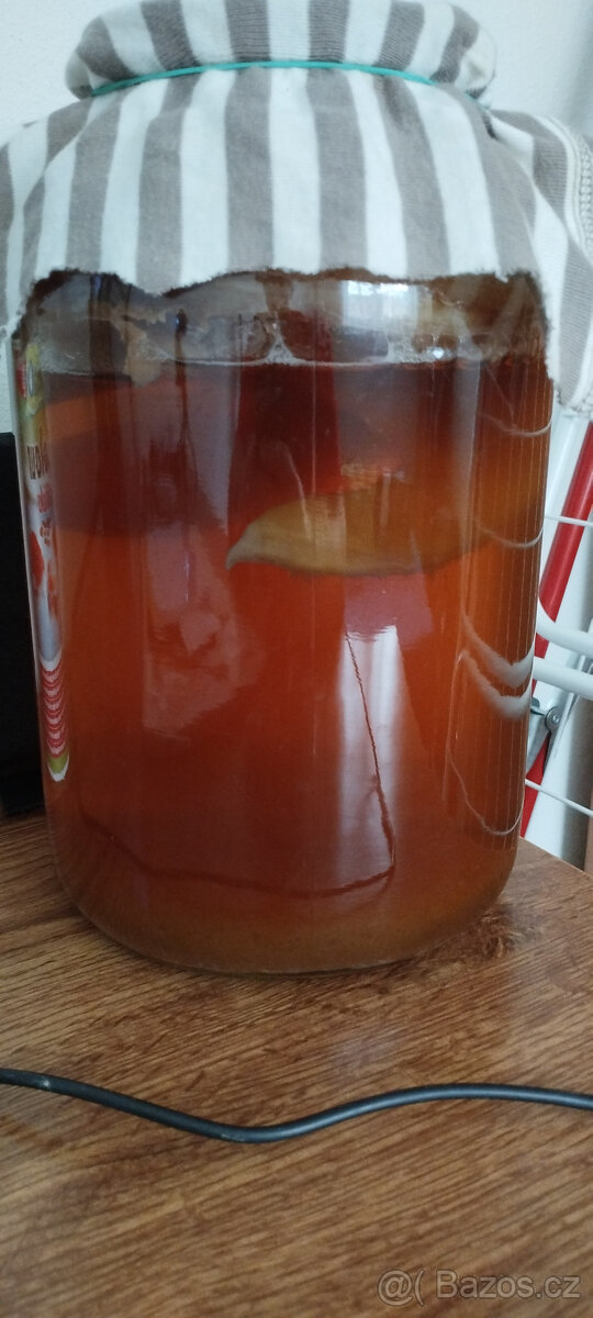 Kombucha, čajová houba - kombucha Vsetín - 2