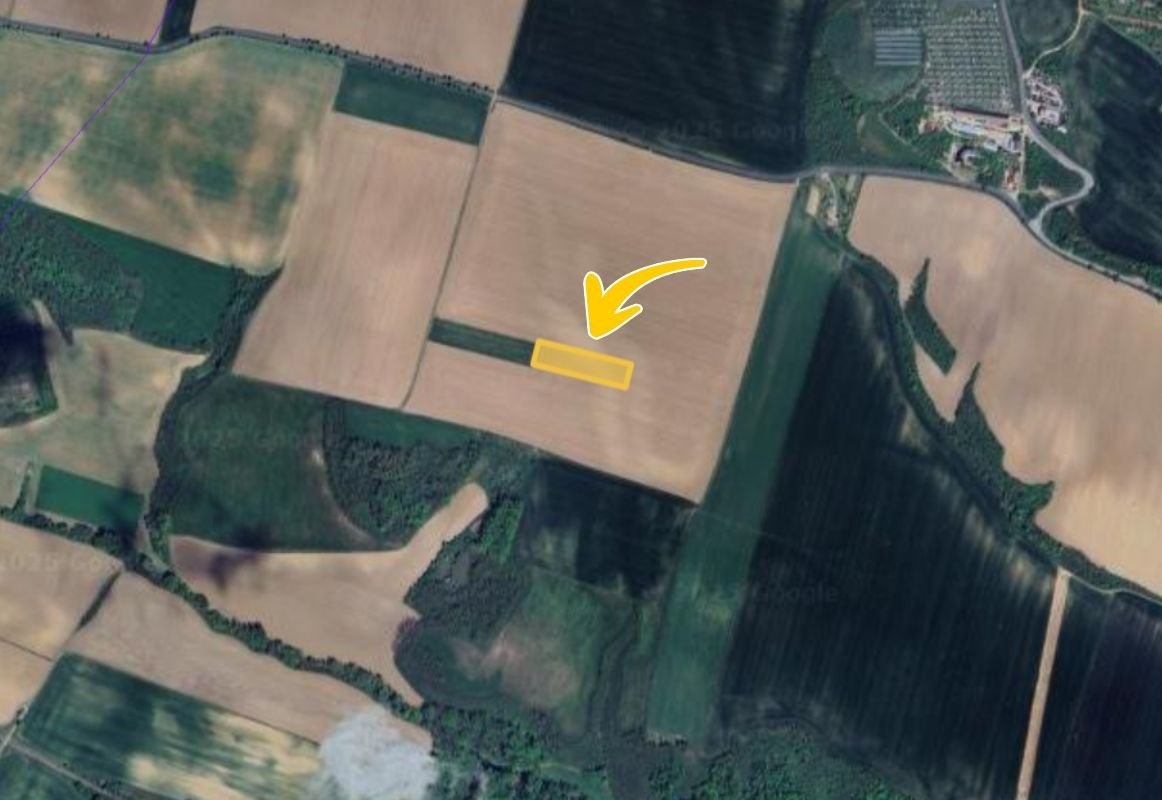 Prodej pole v k.ú. Moravský Krumlov, ev.č. 2025-10-31-120157 - 2