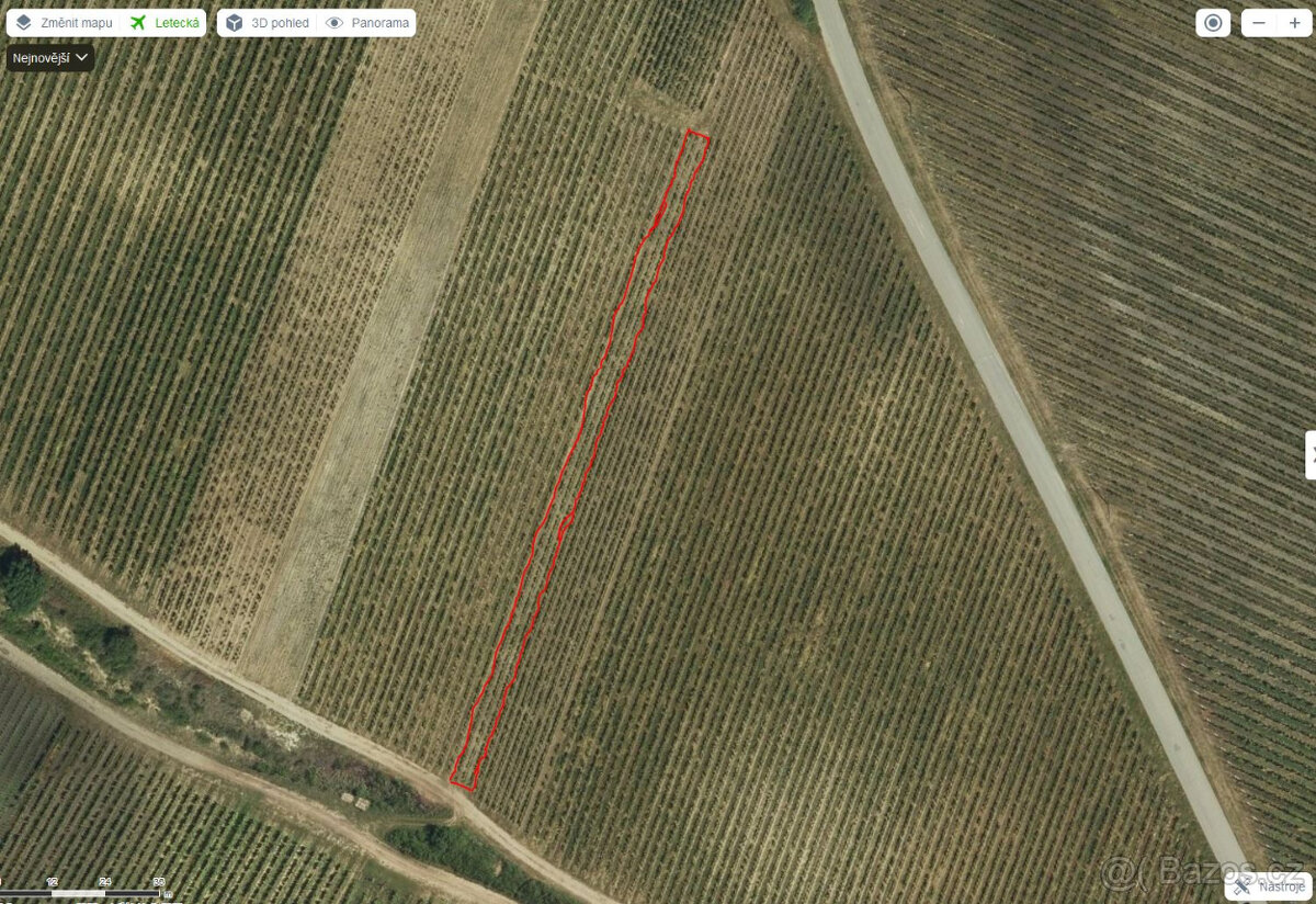 VINICE / VINOHRAD - 2