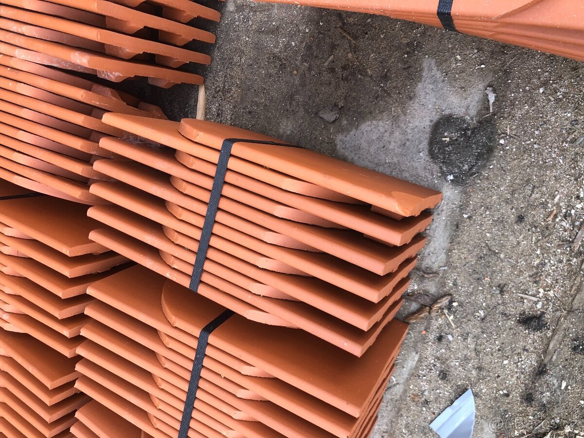 Bobrovky režné na prodej - 2