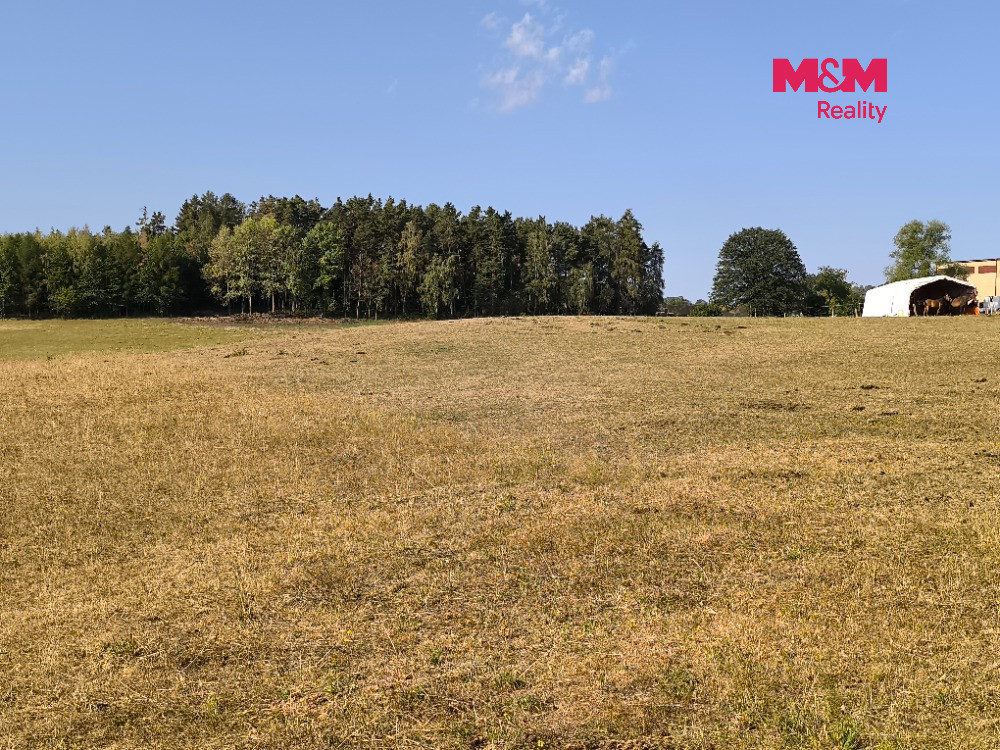Prodej louky, 2004 m², Hoslovice - 2