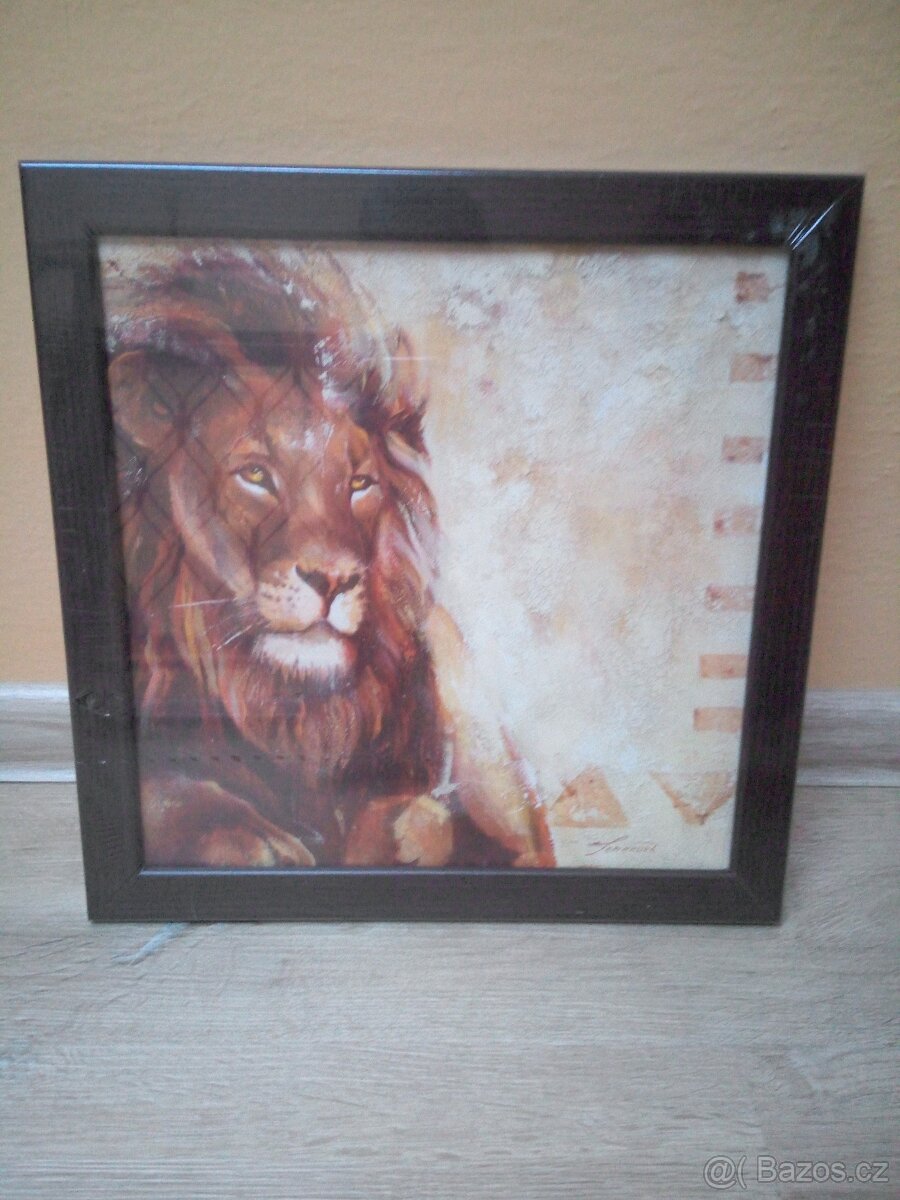 Obraz lev - 2