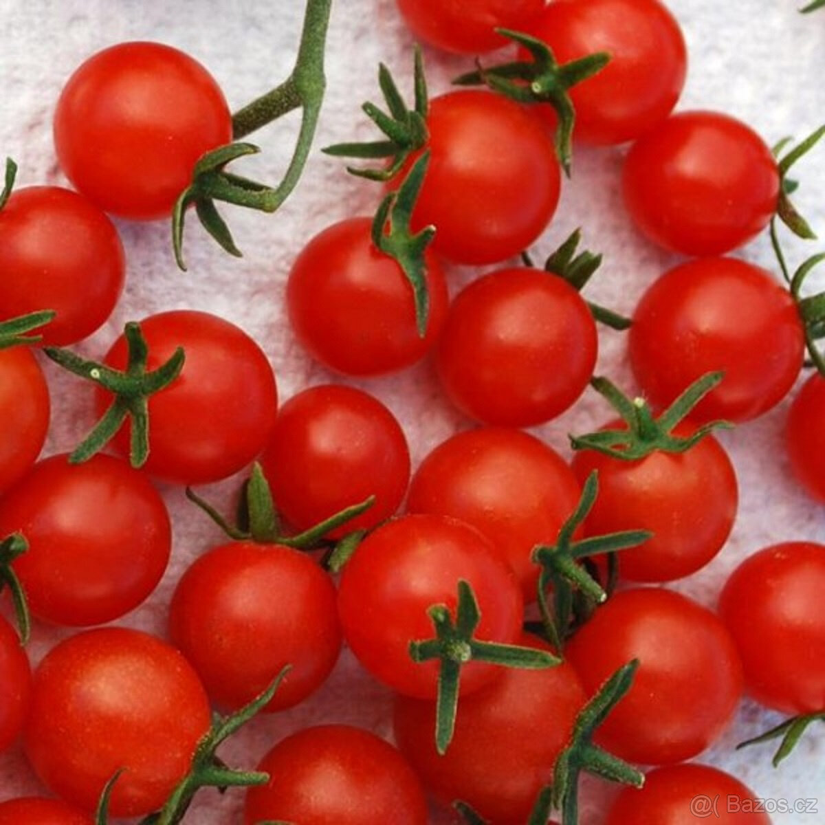 Rajče tyčkové do nádob, cherry, Cerise, 30semen - 2