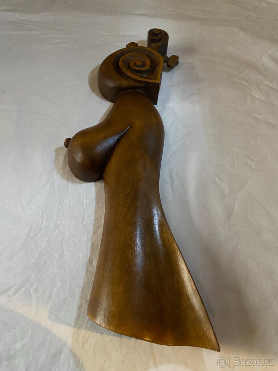 Afričanka tmavá - 2