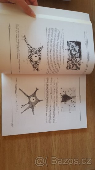 Učebnice histologie a histologická technika I. část - 2