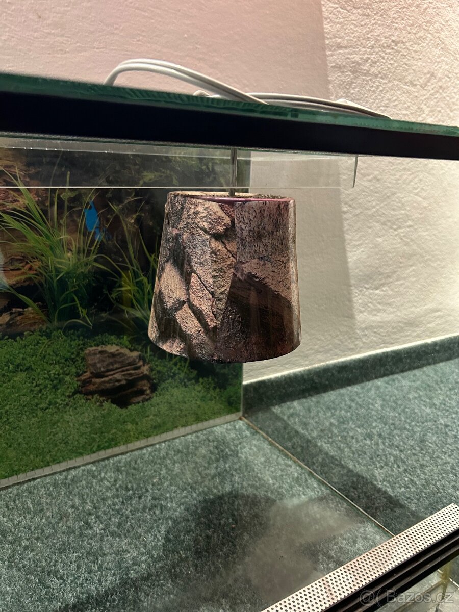 Terárium - 2