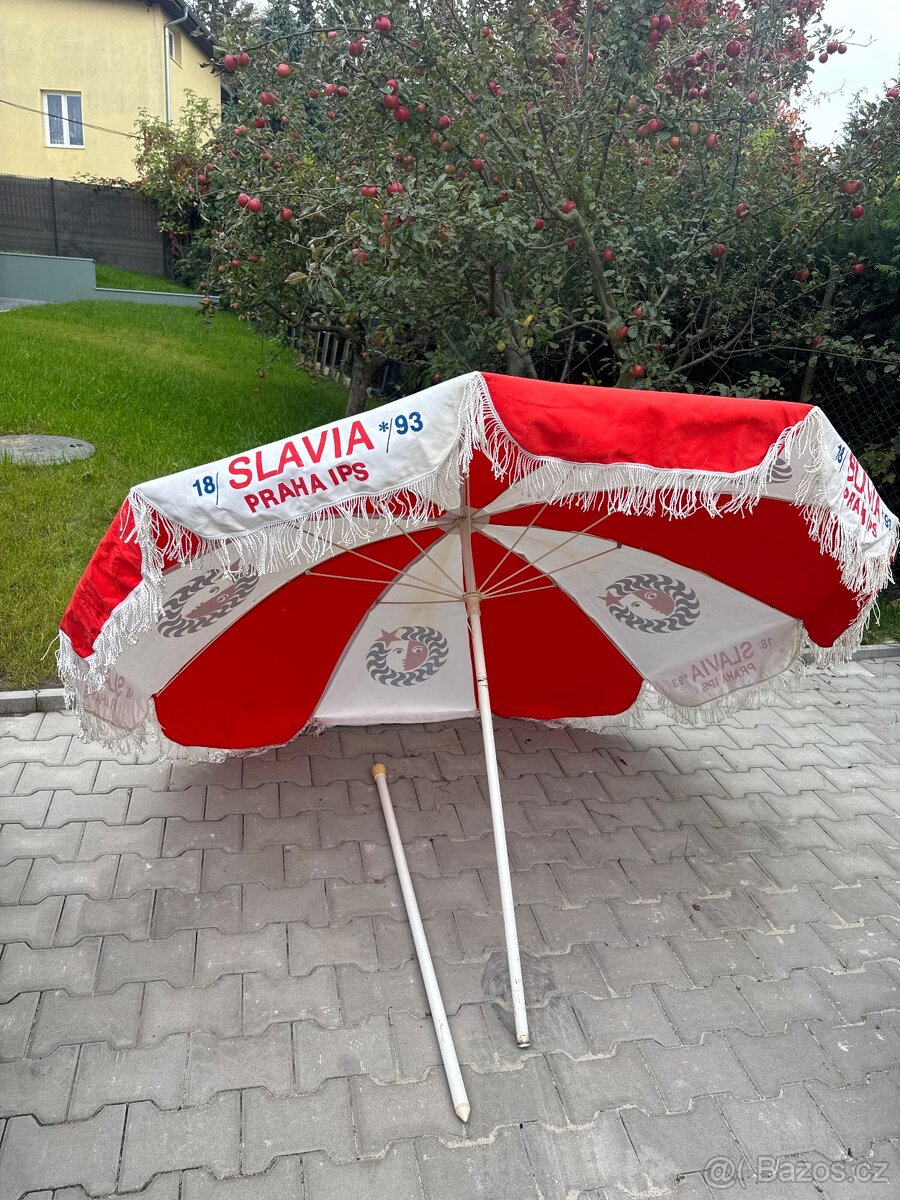 Slunečník Slavia - 2
