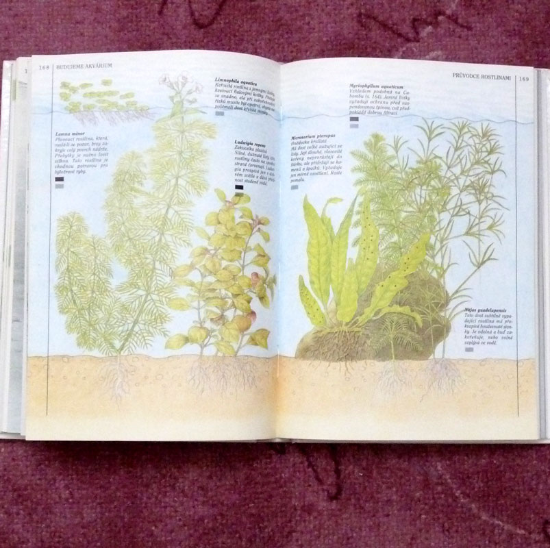 Vaše akvárium - Dick Mills - 2