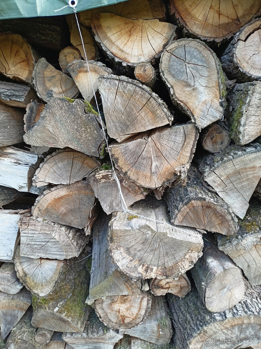 Tvrdé palivové dřevo - 2