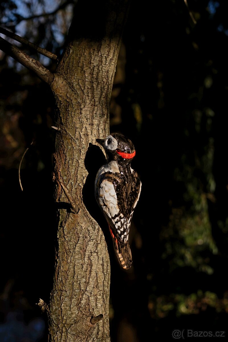 Strakapoud, keramika - 2