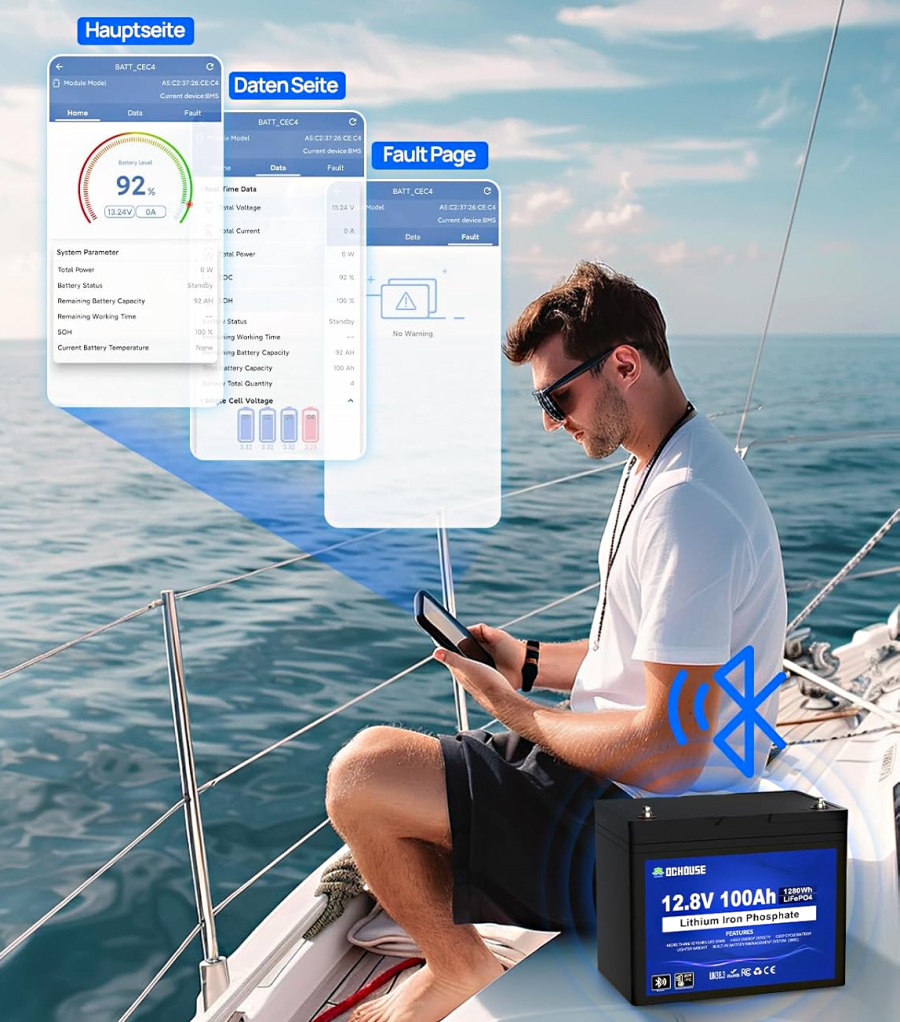 LiFePO4 baterie 12V 100Ah s bluetooth DC House - 2