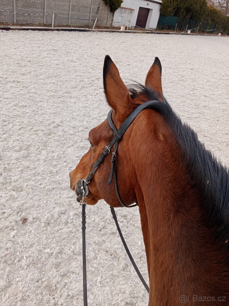 valach na rekreaci - 2