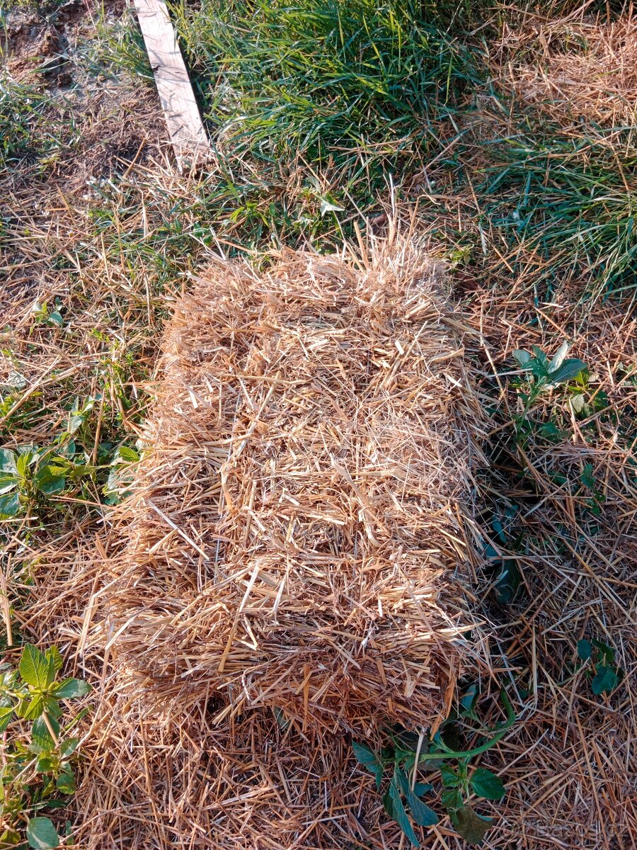 Sláma - 2