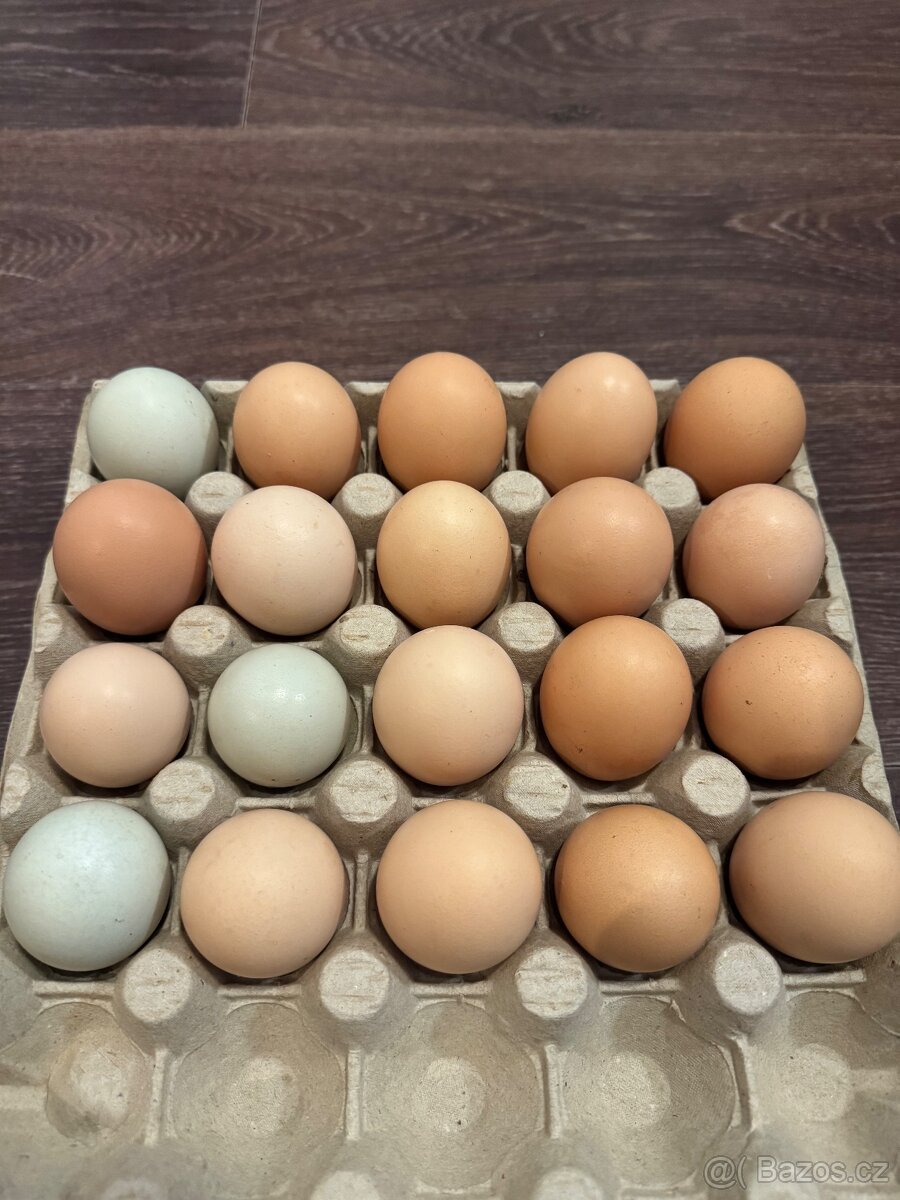 Čerstvé domácí vejce - 2