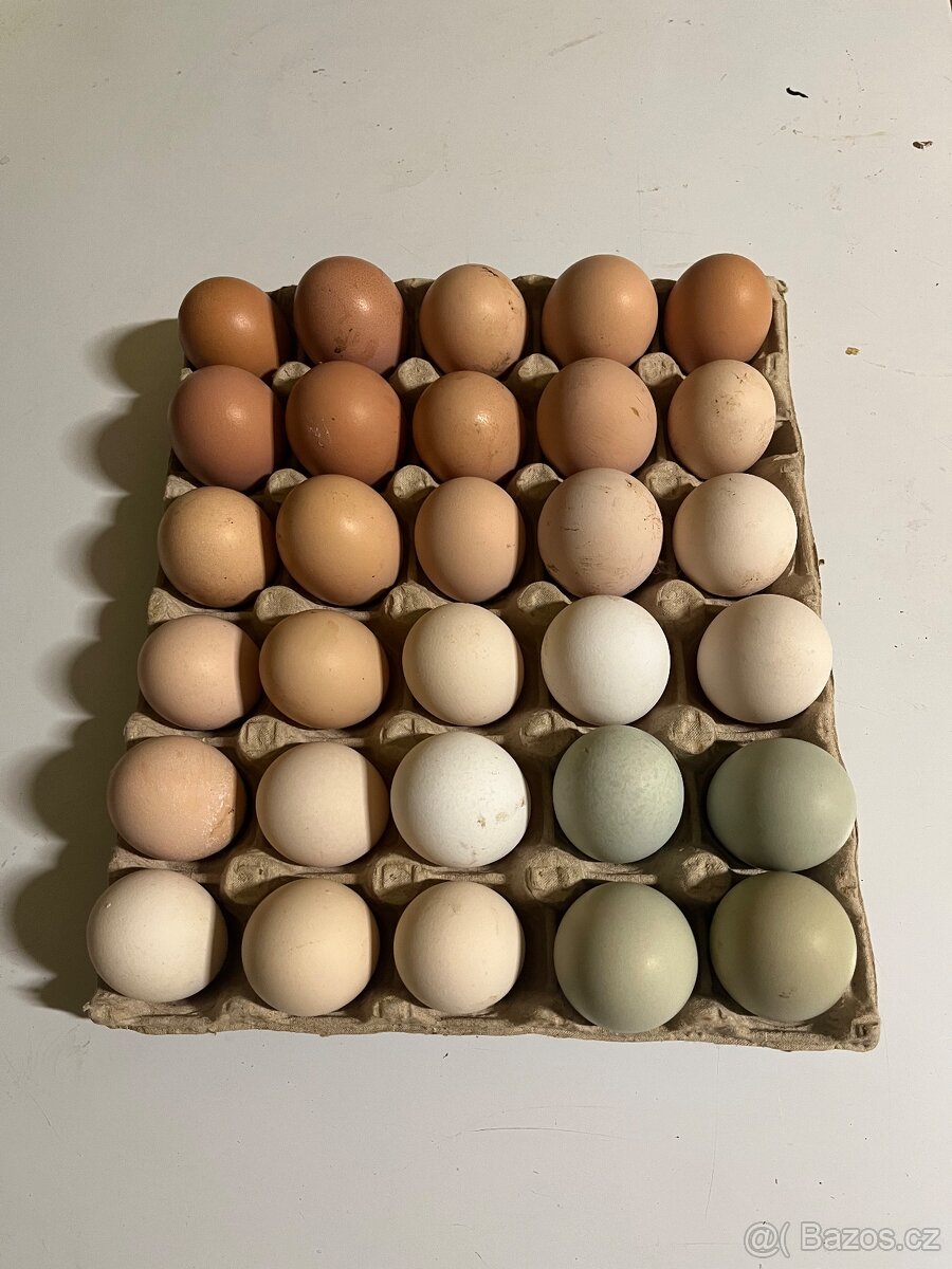 Násadová vejce - Dvorkový mix - 2