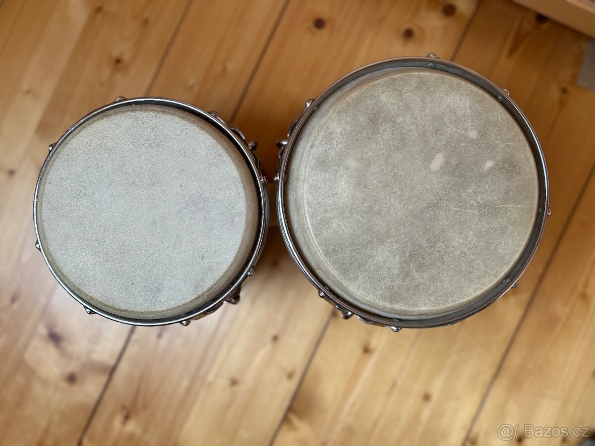 Bonga 1900,- Kč - 2