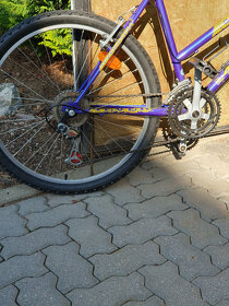 Dětské Kolo 4 EVER DREAM - 2