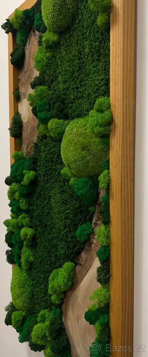 Mechový obraz - 80x40 - NOVÉ - 2