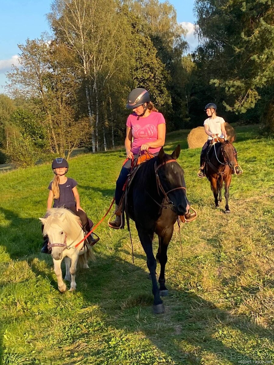 černá paint horse klisna - 2