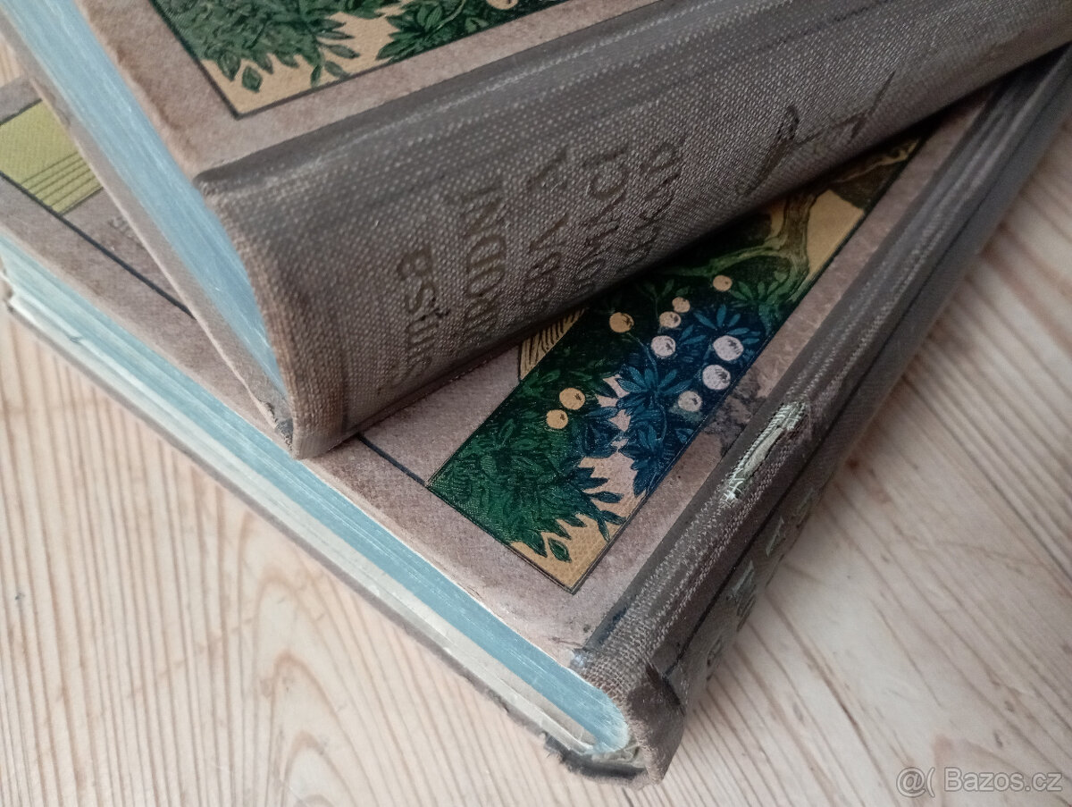 Šimsa - Přírodní léčba a domácí lékař I.+II.díl - 2