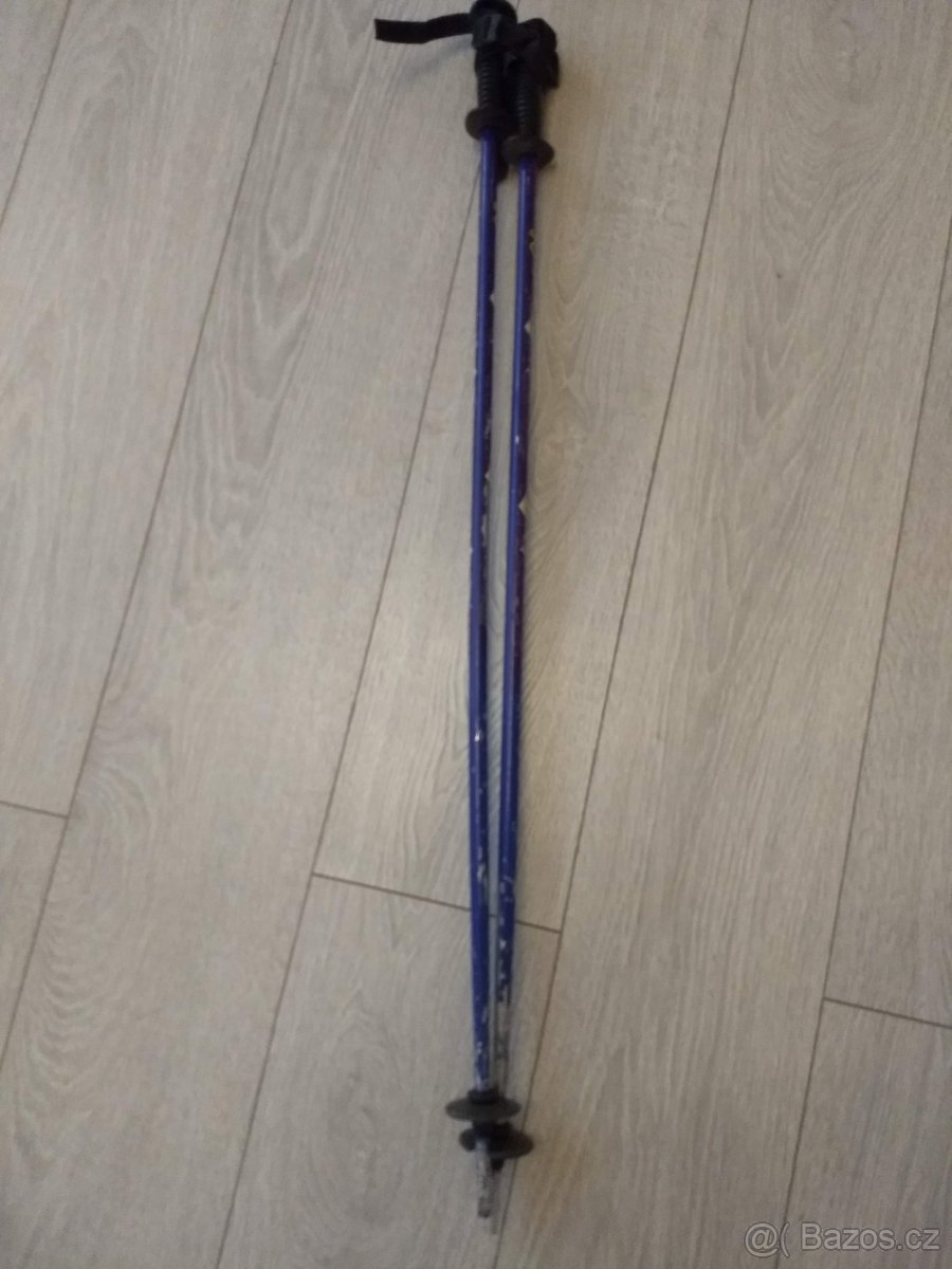 Prodám starší sjezdové dětské hůlky - 2