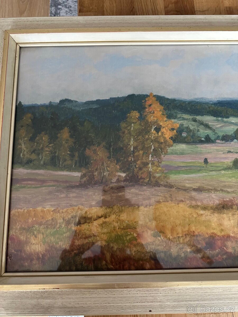 Obraz Jaromír Trojan Vysočina - 2