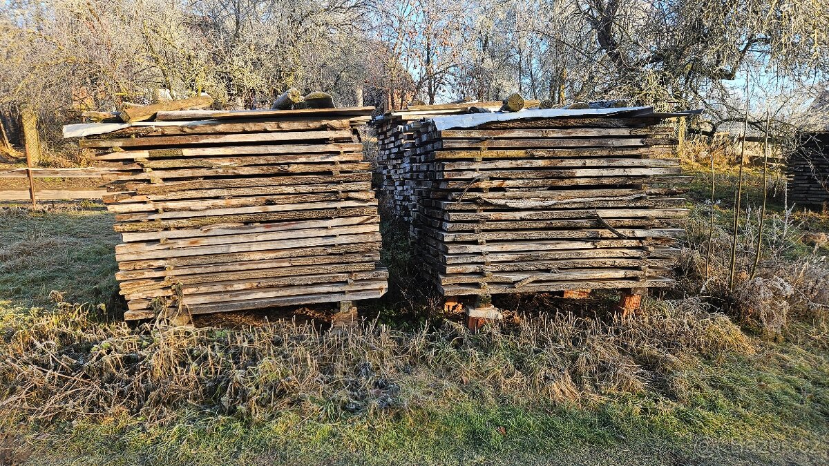 Suche jasanove fosny - 2