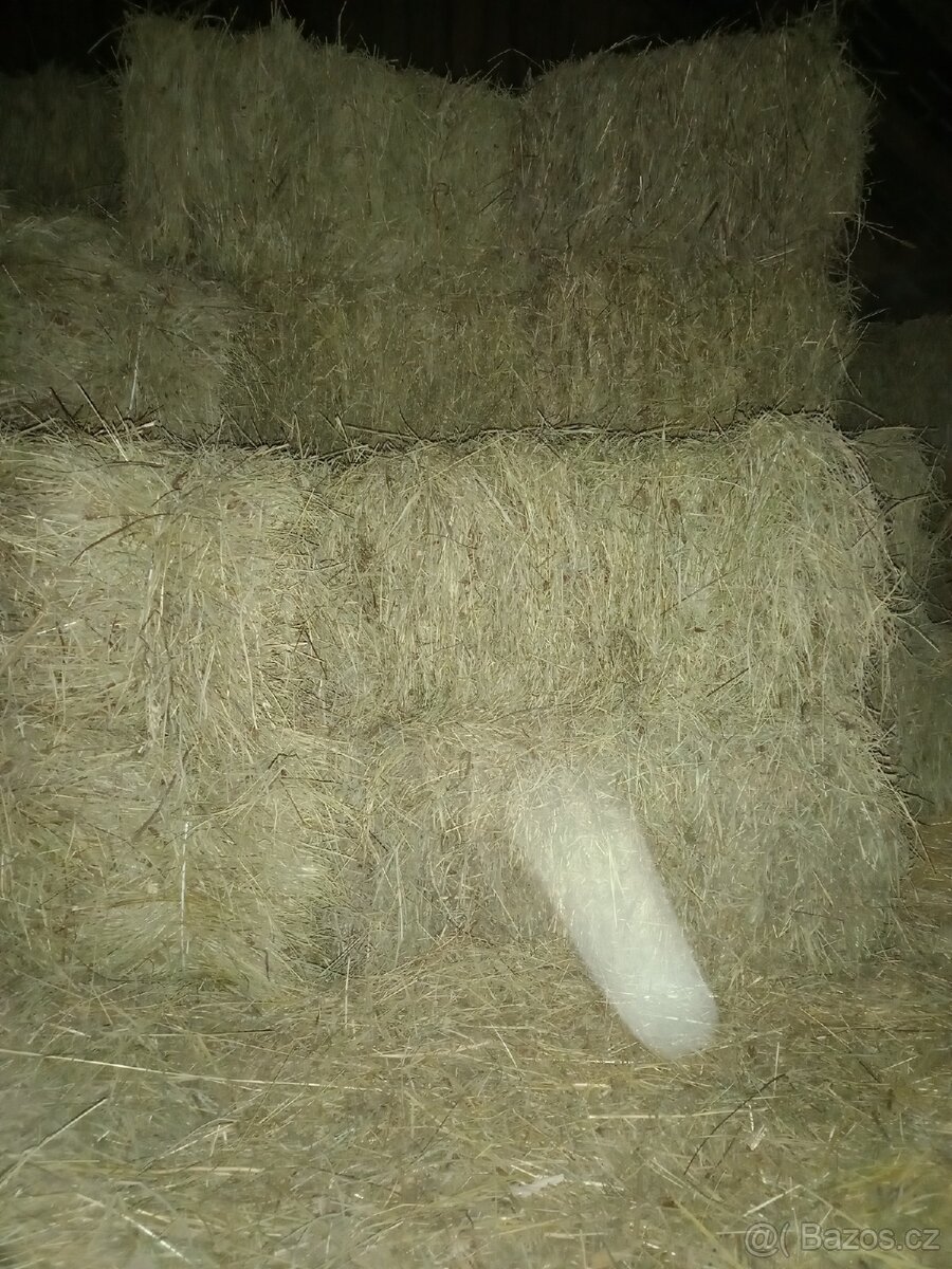 Seno - malé balíky - 2