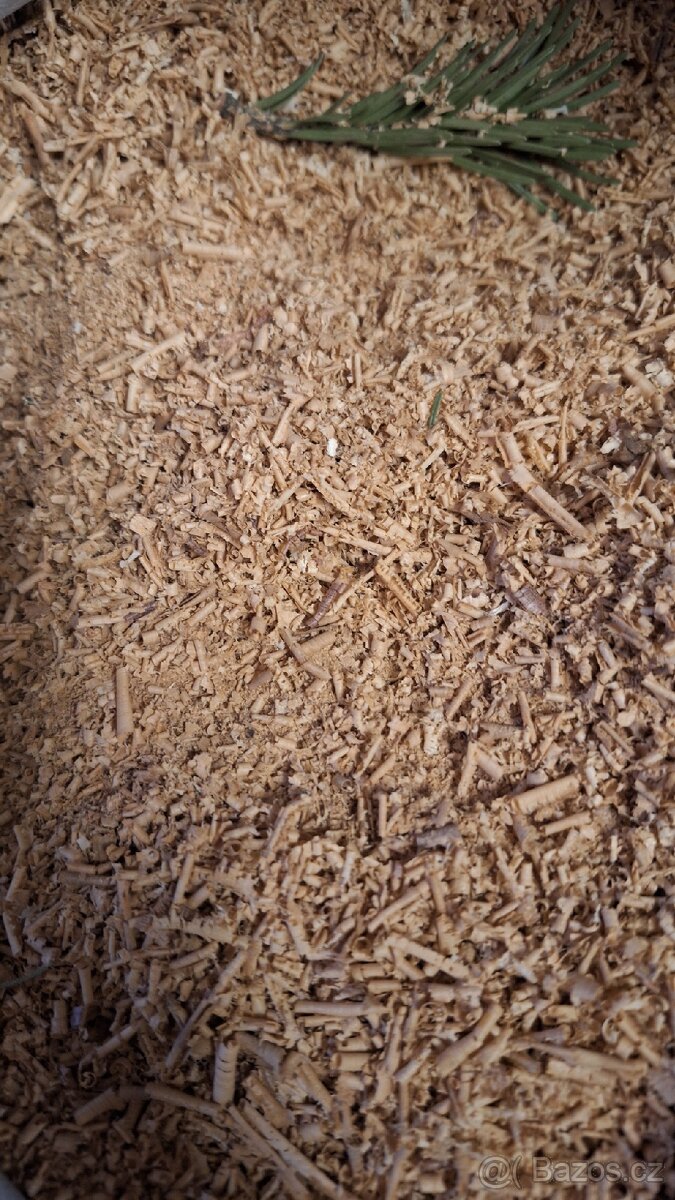 Vyměním pytel hoblin za něco :) - 2