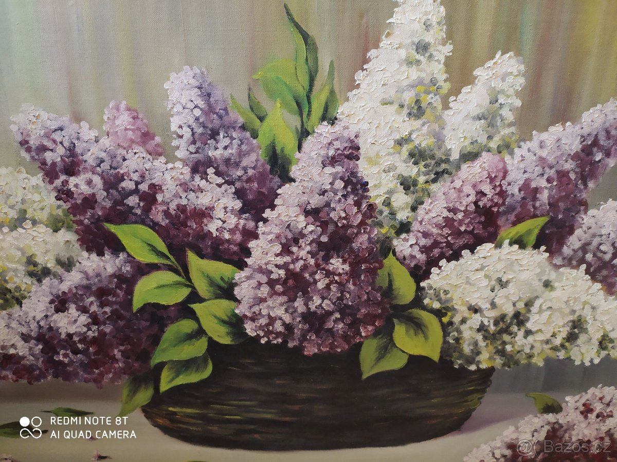 Obrazy - František Líva, Miloslav Lesný Lederer - 2