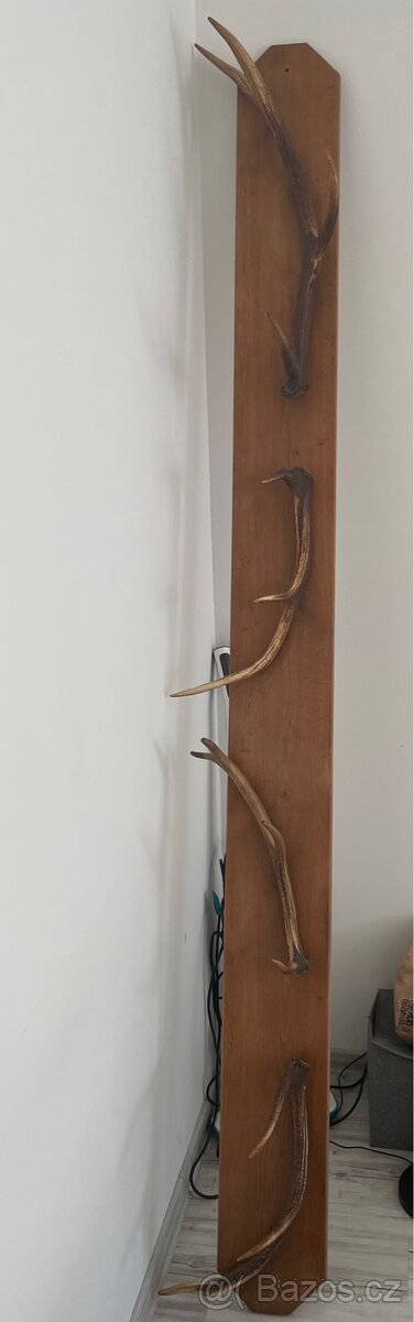 Věšák, dekorace, paroží - 2