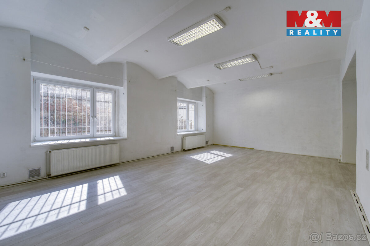 Pronájem obchod a služby, 167 m², Plzeň, ul. Palackého - 2