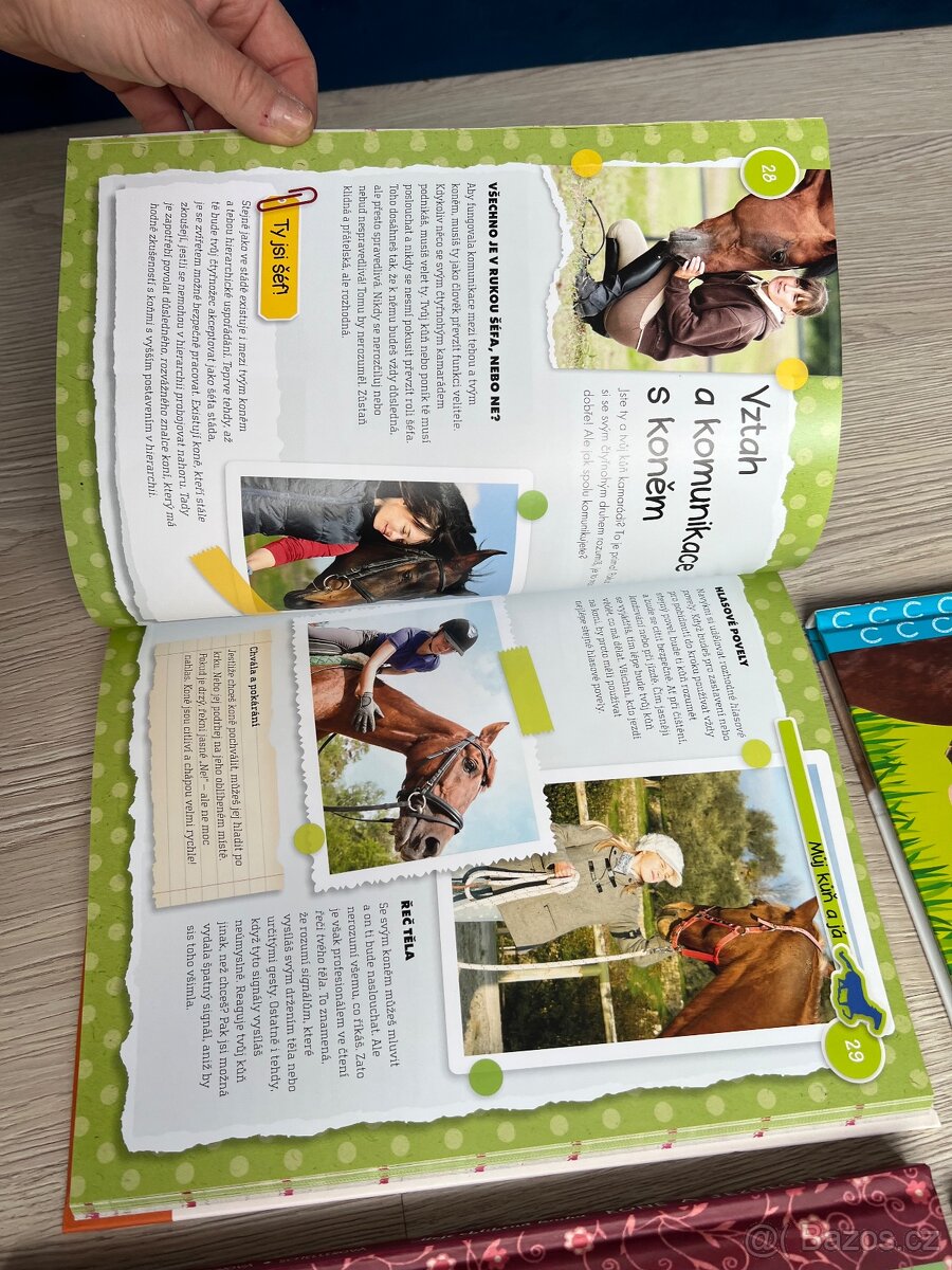 Jezdectví, koně - 2